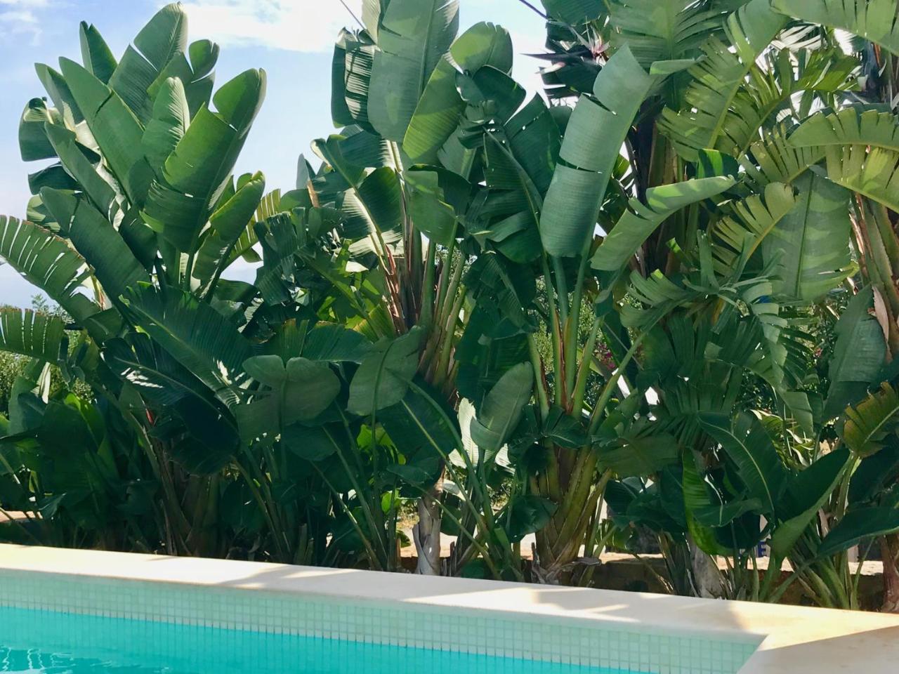 Creta Blue Luxury Collection (Adults Only) Hotel Chersonissos Buitenkant foto