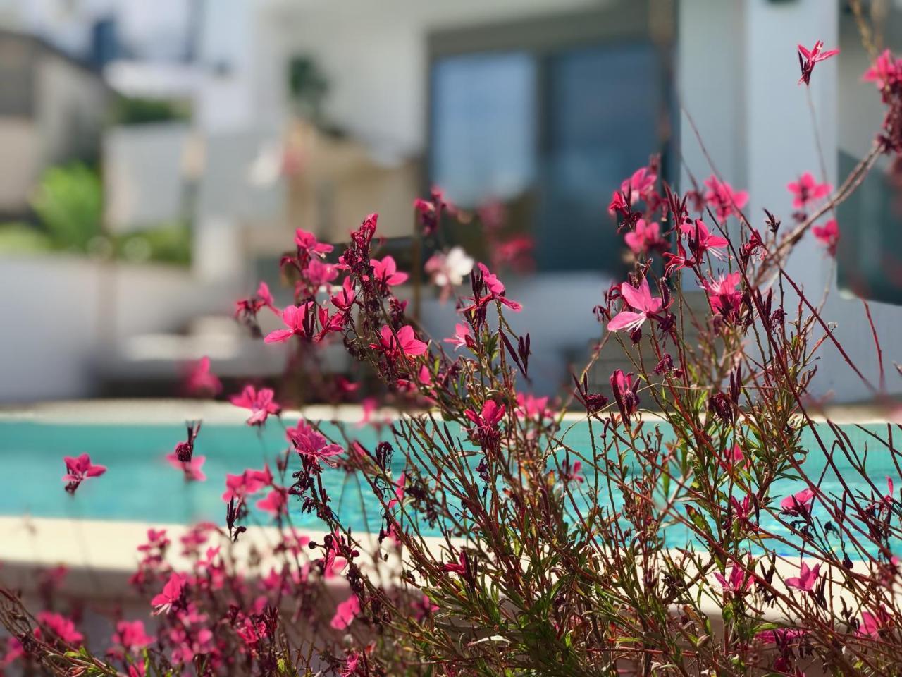 Creta Blue Luxury Collection (Adults Only) Hotel Chersonissos Buitenkant foto